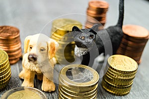 Costs of a pet