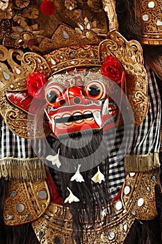 Costume of Barong for a traditional Balinese dance