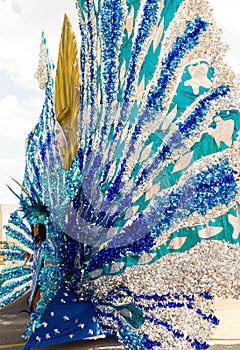 Costume Carnival Masquerader