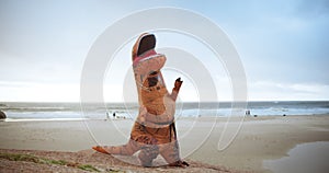 Costume, sea and fun with tai chi, zen and peace for joke and wellness with nature. Mascot, inflatable dinosaur and