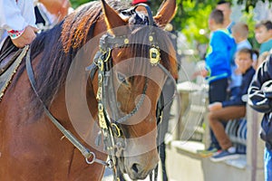 Costumed carnival celebration in the village