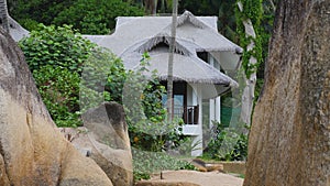 Cosy bungalow, small house cottage, palm tree background