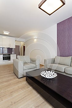 Cosy flat - living room photo
