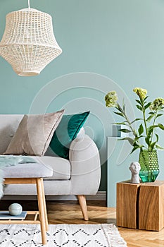 Cosy living room with grey sofa and velur pillows.