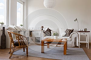 Cosy white living room photo
