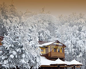 Cotage in the winter