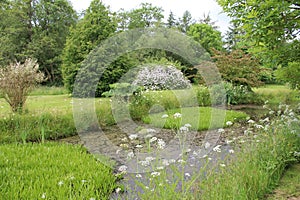 Cothay Manor Lake View, Somerset, UK