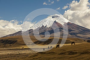 Cotopaxi, an active volcano, Ecuador photo