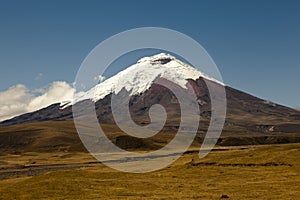 Cotopaxi and paramo