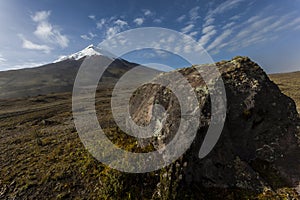Cotopaxi and rock photo