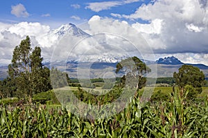 Cotopaxi Volcano in the Avenue of the Volcanos - Ecuador