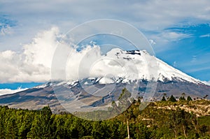 Cotopaxi volcano over the plateau, Andes of Ecuador