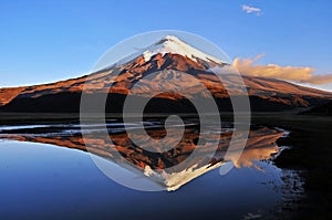 Cotopaxi Volcano Reflected in Limpiopungo Lake