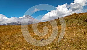 Cotopaxi volcano throwing ash, Ecuador