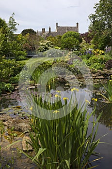 Cotswold cottage garden with wildlife pond, England