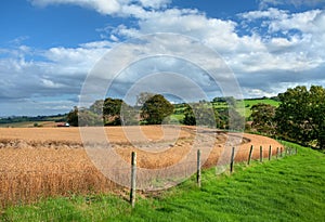 Cotswold harvest time