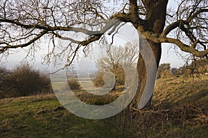 Cotswold landscape in winter