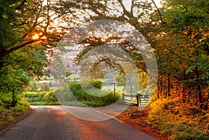 Cotswold lane at sunset