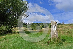 The Cotswold Way near Painswick, Gloucestershire, England