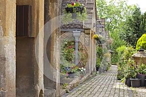 Cotswolds cottages with front gardens in summer bloom .