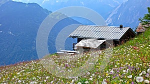 Cottage in the Alpine photo