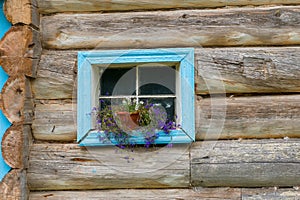 Flower pot on the window photo