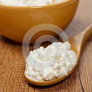 Cottage Cheese.