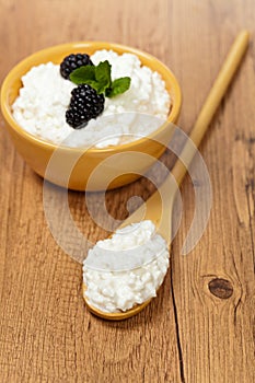 Cottage Cheese.