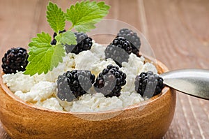 cottage cheese with blackberry in a plate/cottage cheese with blackberry in a plate. Close up