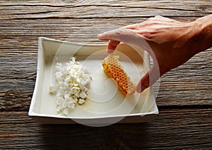 cottage cheese curd with Honey honeycomb