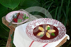 Cottage cheese gnocchi with strawberry sauce and lemon balm leaves on the background of the summer garden. Rustic style