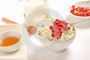 Cottage cheese and redcurrant in white bowl and honey