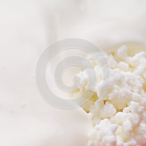 Cottage cheese with soured cream.