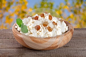 Cottage cheese in a wooden bowl on board with blurred garden background