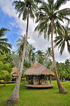 Cottage in Coconut Palms