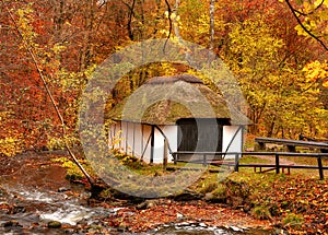 A cottage in the countryside in autumn landscape beside a river in Europe. Peaceful and quiet nature scene of rustic