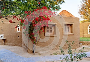 Cottage of earth with twining tree, Rajasthan, India