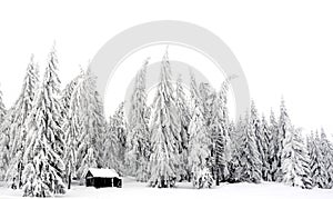 Cottage between fir trees on the mountain in winter