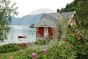 Cottage in Fjords