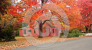 Cottage during foliage season