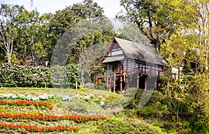 The cottage in forest