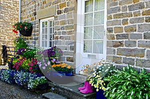 Cottage front with lots of container plants