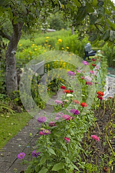 Cottage garden