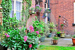 cottage garden detail