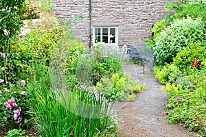 cottage garden detail