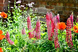 cottage garden detail