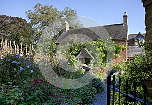 Cottage garden, England