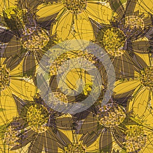 Cottage garden flower seamless vector pattern background. Modern floral line art design with hand drawn flowers