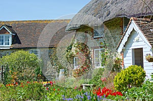 Thatched roofed cottage and garden. UK photo