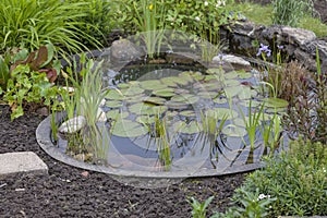 Cottage garden with pond